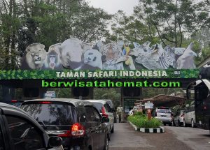 Paket Wisata Taman Safari 1 Day Tour