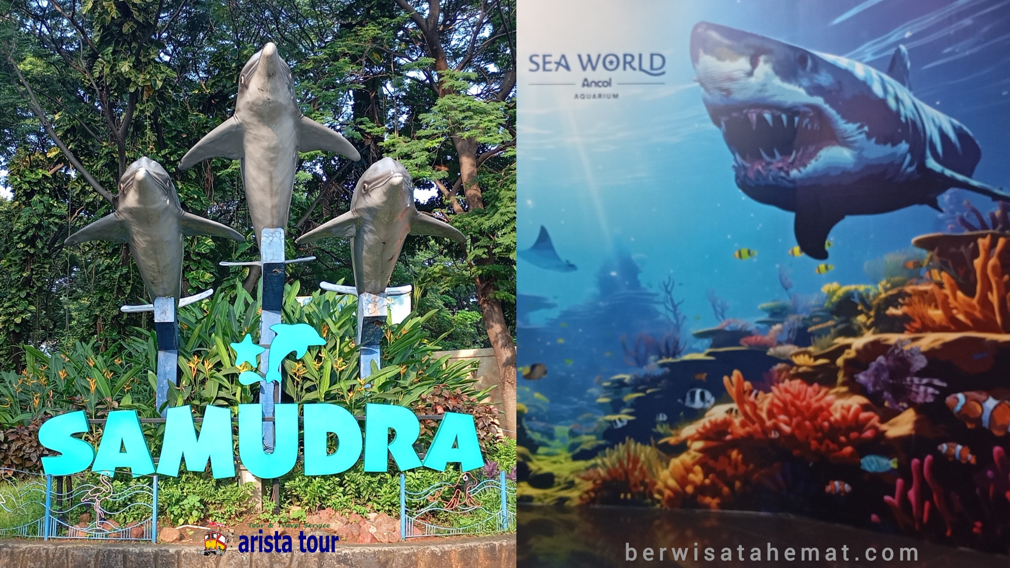 Paket Wisata SeaWorld Ancol & Samudra dari Bandung