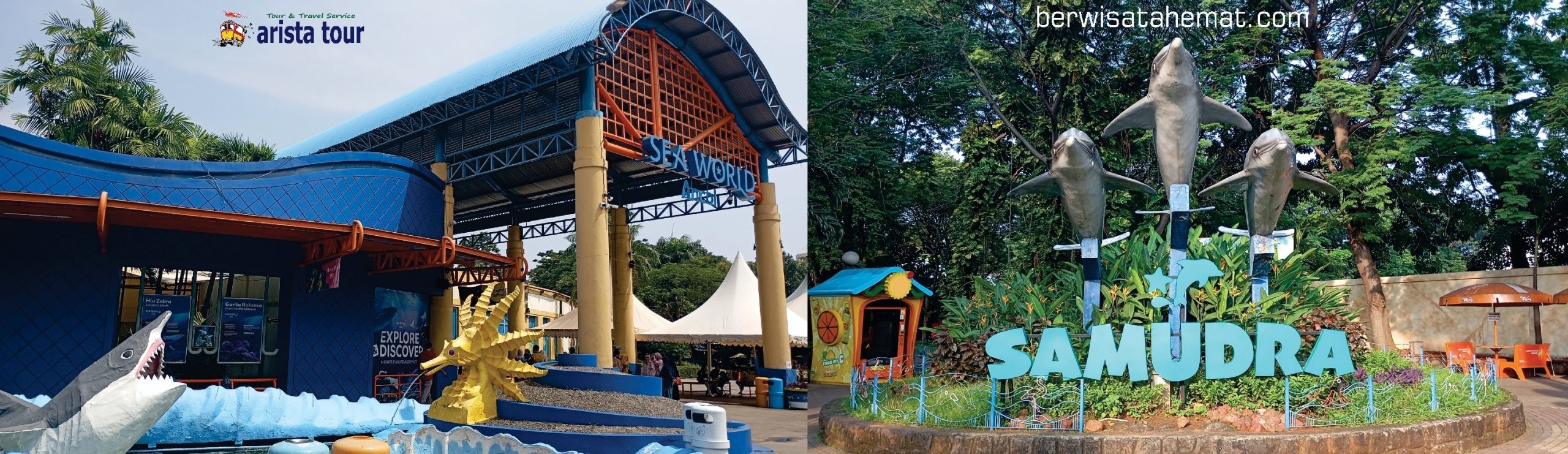 Paket Wisata SeaWorld dan Samudra Ancol dari Bandung