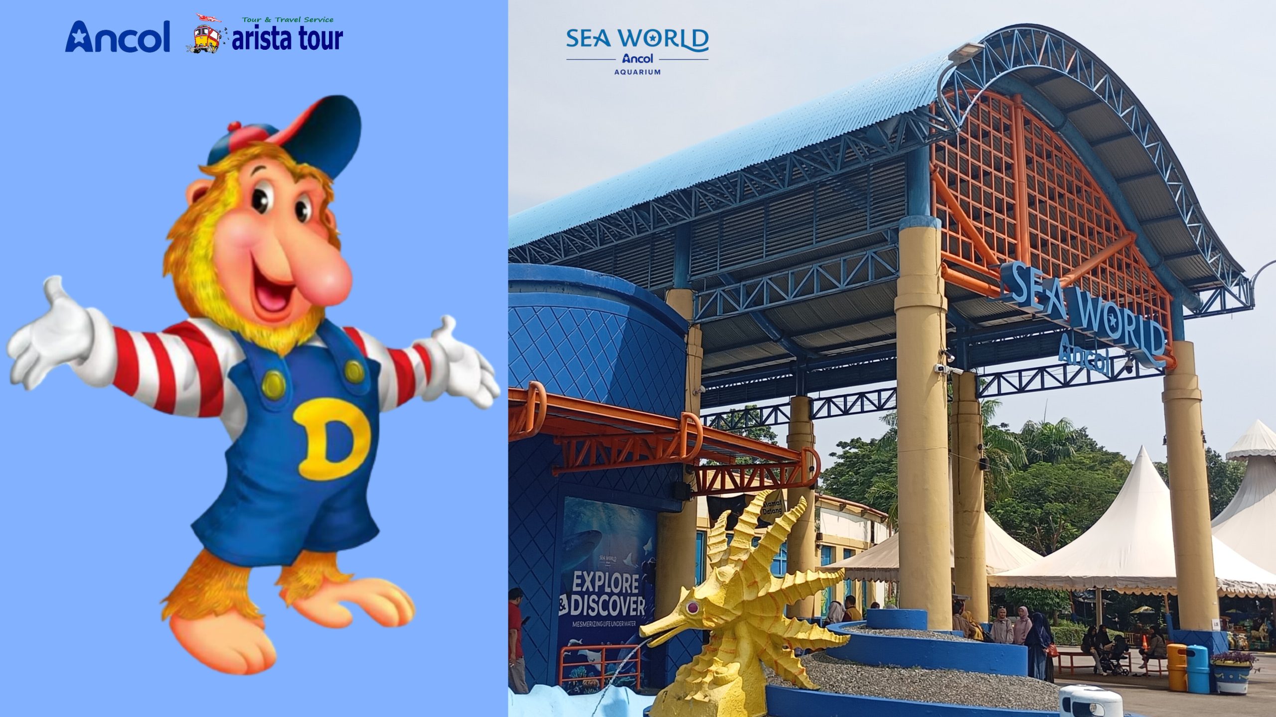 Paket Wisata Dufan SeaWorld Ancol dari Bandung