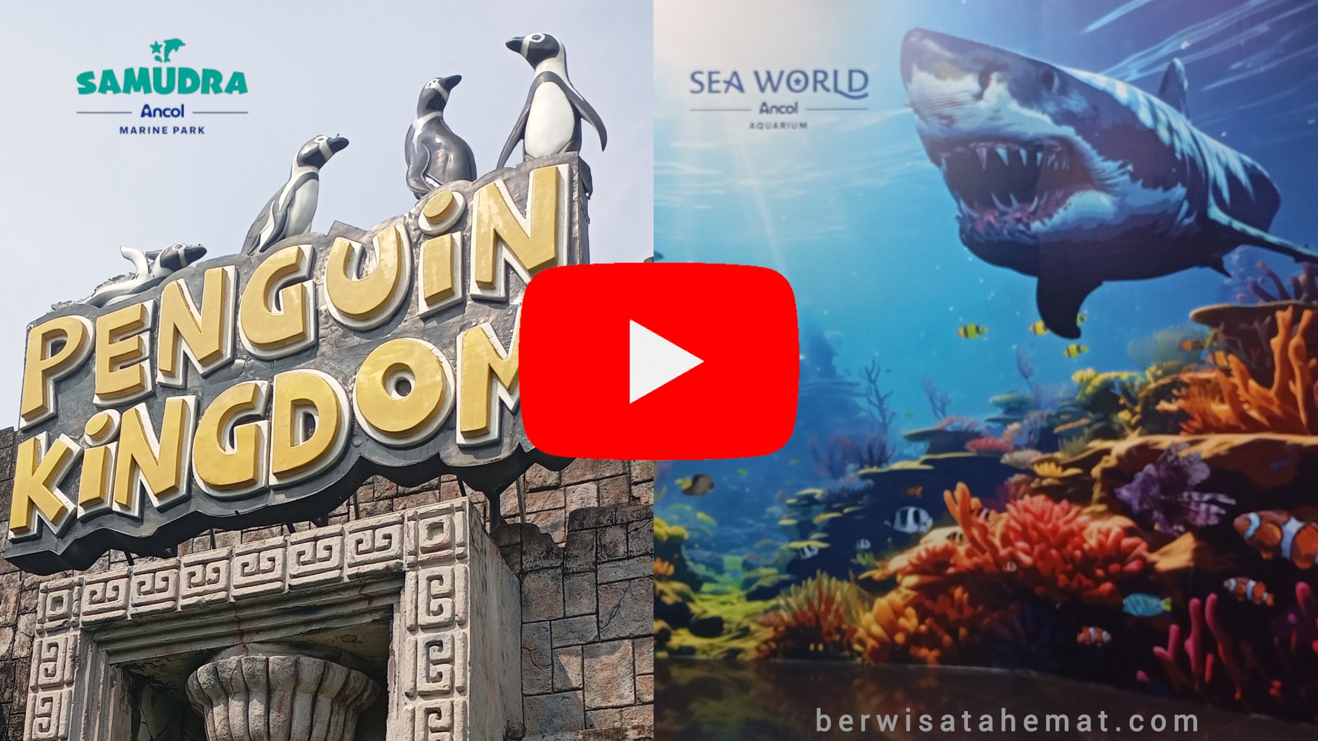 Paket Wisata SeaWorld & Samudra Ancol-Tour dari Bandung