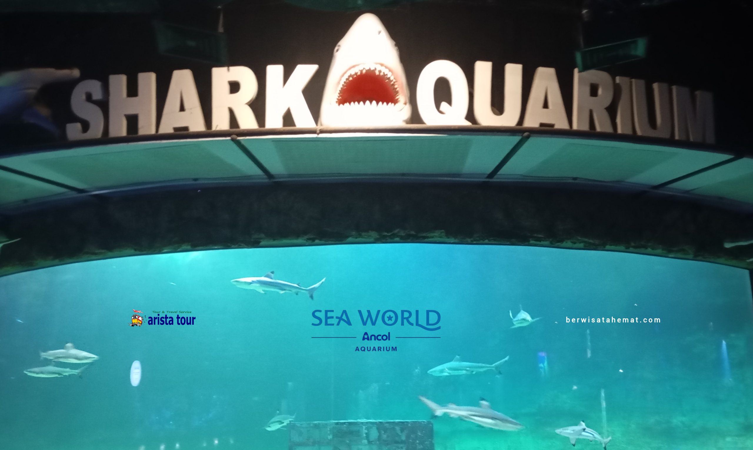 Paket Wisata Dufan & SeaWorld Ancol