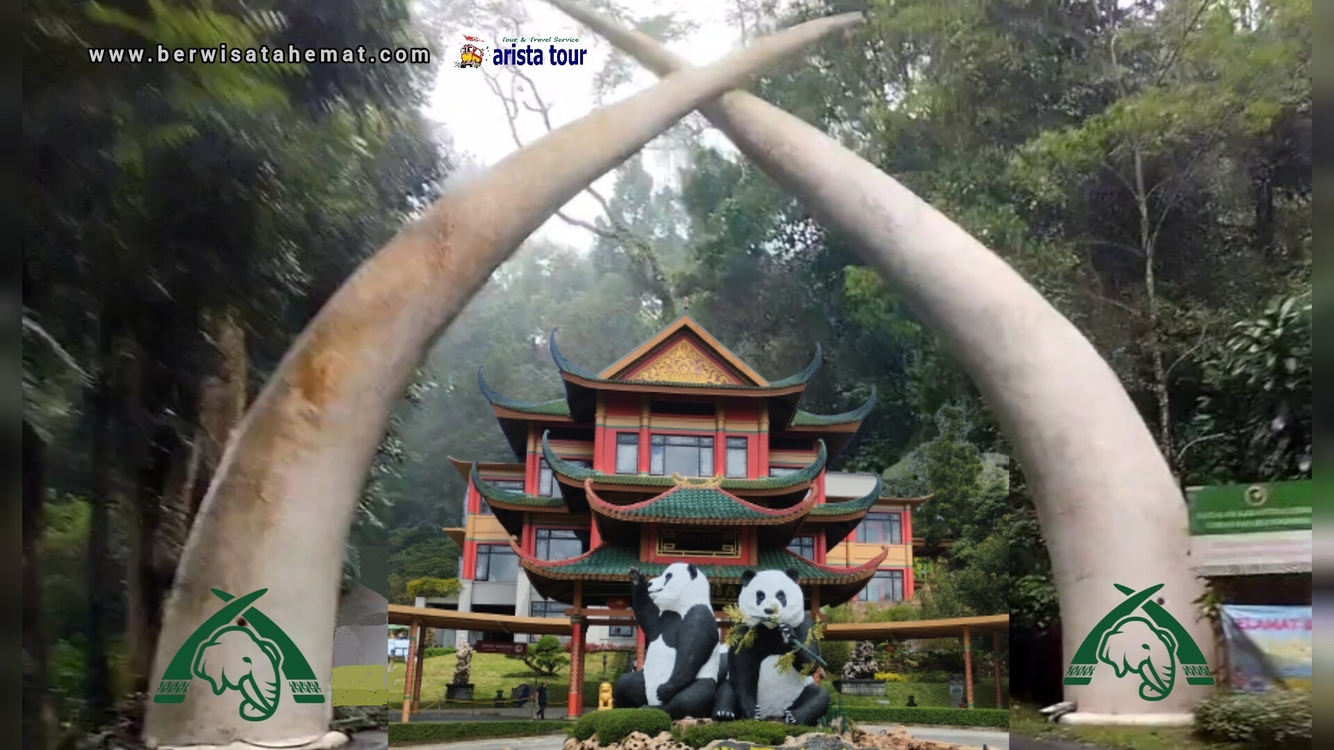 Paket Wisata Taman Safari dari Bandung & Sekitar
